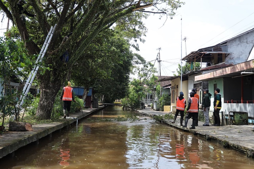 Pemkot Pontianak Respons Cepat Aduan Warga, Perawatan Pohon Rutin Dilakukan Demi Keselamatan